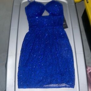 NWT Aleta Hoco dress size 00